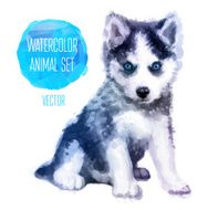 Vector Huskies hand painted watercolor illustration isolated on white background N2