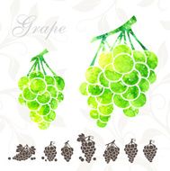 Green grape icons set N2