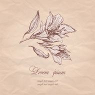 Vintage background with flowers N8