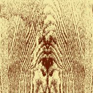 Wooden texture background N9