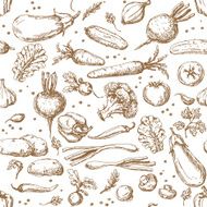 vegetable pattern N9