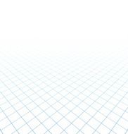 Perspective grid surface N8
