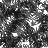 Seamless pattern of fern leaves Vector illustration N6