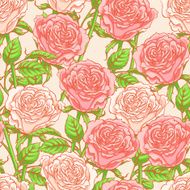 Pink Roses N12