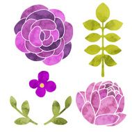 Watercolor flowers leaves