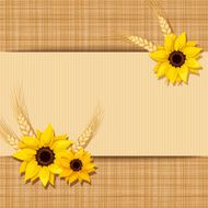 Vector card with sunflowers and wheat on a sacking background