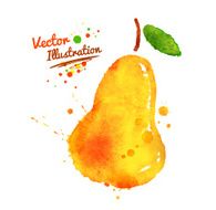 Watercolor pear