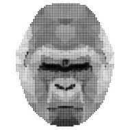 abstract monochrome gorilla portrait of circles isolated on white background N2