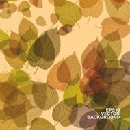 Colorful Autumn Leaves Background N3