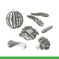Ink hand drawn fruits and vegetables set N5