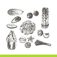 Ink hand drawn fruits and vegetables set N6