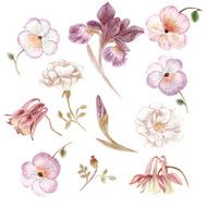 Hand drawn garden flower set in pale faded colors
