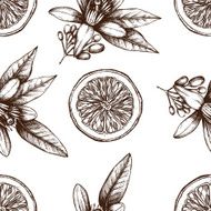 Vintage citrus background N3