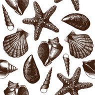 Vintage background with sea shells N3