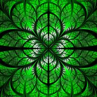 Symmetrical pattern of the leaves in green and black