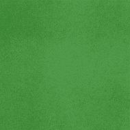 Vector canvas Rich green color