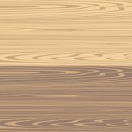 wood N20