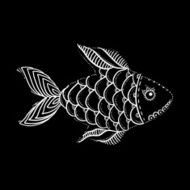 White textured fish on black vector illustration N2