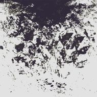 Vector grunge Background N8