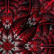 Diagonal symmetric pattern of the leaves in red N2