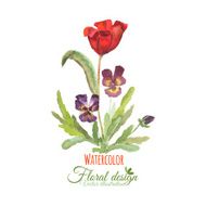 Watercolor floral arrangement Tulip and Violas