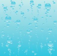 bubbles N16