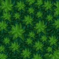 Green leaves and bush texture N2