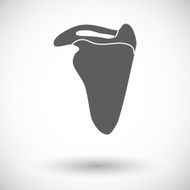 Scapula N2