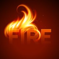 Fire realistic background Vector illustration N3