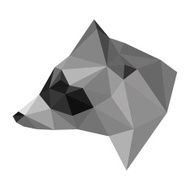 Abstract polygonal geometric triangle raccoon head isolated on white background N2