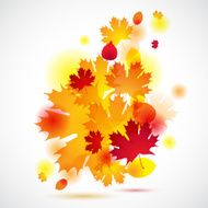 Autumn background with yellow leaves Vector illustration N2