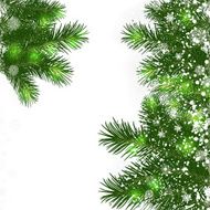christmas background N667