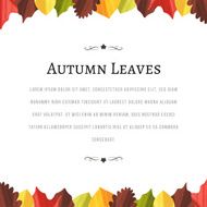 Autumn Background N191