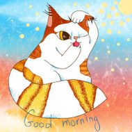 Morning cat