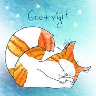 Good Night N33