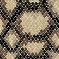 Snake skin N13