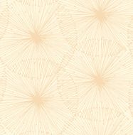 Bright radial elements N2