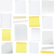 Blank Paper note with Bends and Tears