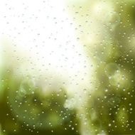 raindrops on the window N2