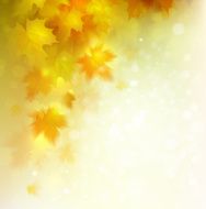 Autumn Branch N9