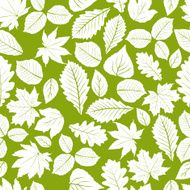 Different leaves seamless pattern vector natural background N2
