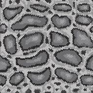 Python Pattern N2