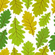 Oak leaves seamless pattern natural endless background