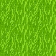 grass background N22