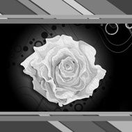 greeting card N236