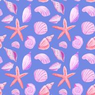 Sea shells watercolor