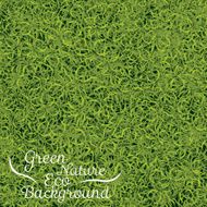 green grass background N9
