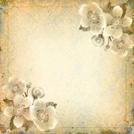 Grunge floral background with copy space for text N2