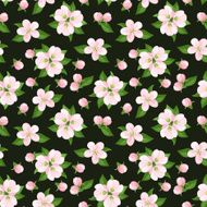 Seamless background with pink apple flowers Vector illustration