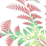Asymmetrical pattern of the leaves in red and green N3